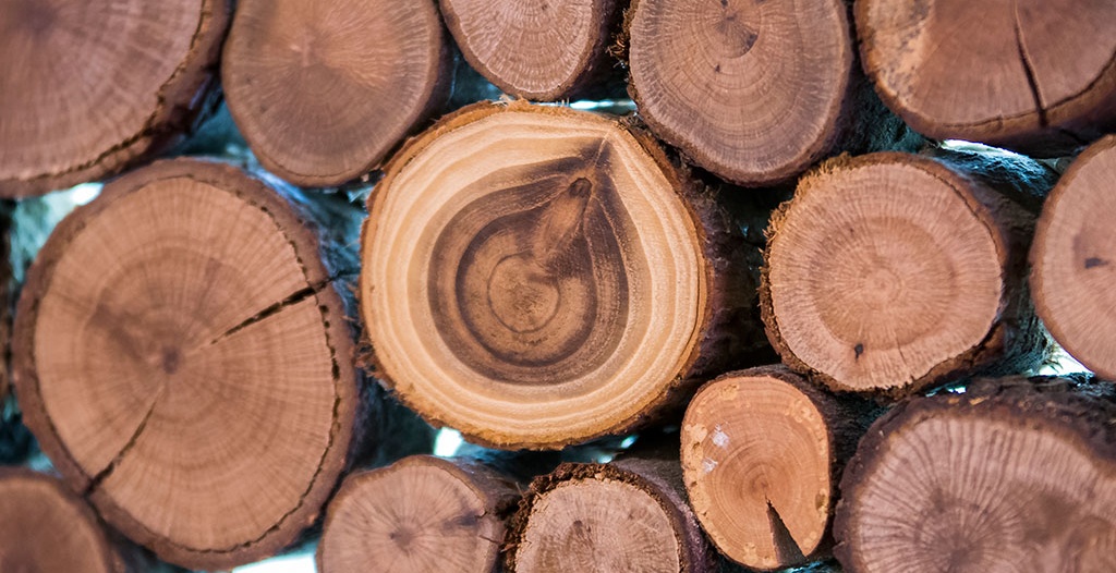Un convegno dedicato al Regolamento EUTR per le imprese del settore legno Un convegno dedicato al Regolamento EUTR per le imprese del settore legno