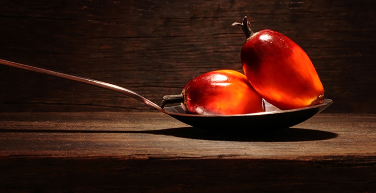Olio di Palma e certificazione RSPO: numeri e controversie